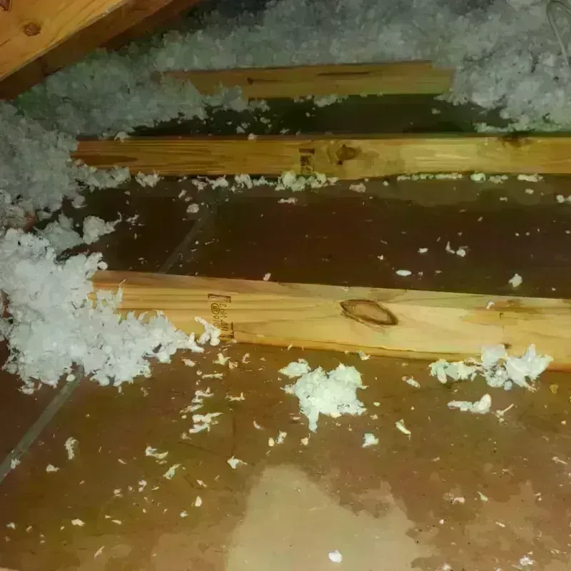 Attic Water Damage in Roseau, MN